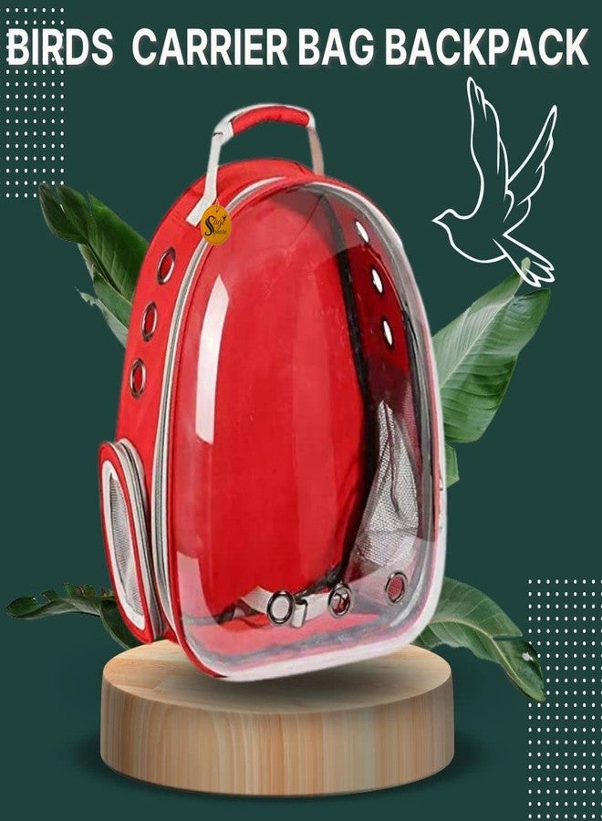 سايج سكوير حقيبة ظهر لحمل الطيور من سيج سكوير، حقيبة ظهر صغيرة لحمل الطيور الصغيرة والمتوسطة، حقيبة ظهر شفافة جيدة التهوية لحمل الحيوانات الأليفة والطيور أثناء المشي لمسافات طويلة (عشوائي) - Image 2